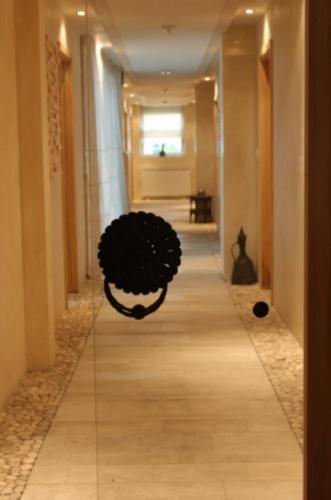 Hotel Merona SJJ Extérieur photo